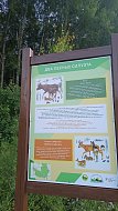 На территории ООПТ «Урочище Лысая гора» официально открыта новая экотропа «Луговая»