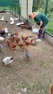 Сельские будни в Юнгеровке