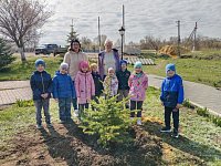 Воспитанники детского сада "Березка" (группа "Непоседы") высадили саженцы ели на Аллее Героев