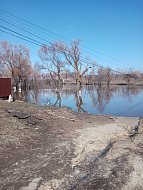 Лысогорцы вышли на прогулку, чтобы «не проспать» весну