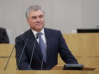 Вячеслав Володин назвал истерикой призыв к Евросоюзу не признавать российские выборы