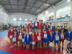 Лысогорские самбисты завоевали 46 медалей