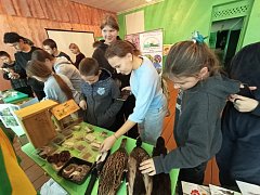 «Лесные рейнджеры» продуктивно провели День волонтёра