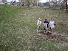 Лысогорский район принял участие во Всероссийском субботнике