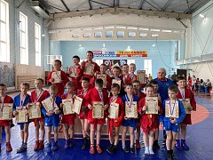 В Лысых Горах прошел турнир по самбо