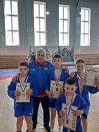 В Лысых Горах прошел турнир по самбо