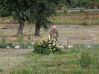 В Лысых Горах работы по благоустройству общественных территорий продолжаются