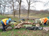 В парке Лысых Гор подготовили розы к зиме 