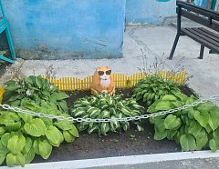 Эксперт Курбатова рассказала отчего можно ослепнуть