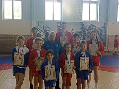 В Лысых Горах прошел турнир по самбо