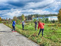  В парке Лысых Гор состоялся субботник
