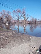 Лысогорцы вышли на прогулку, чтобы «не проспать» весну