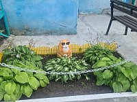 На зрение могут влиять такие факторы, как возраст, наследственность, неблагоприятная экология.