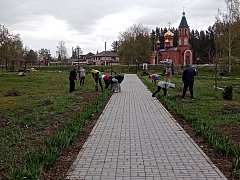 Лысогорский район принял участие во Всероссийском субботнике