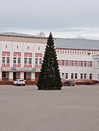На центральной площади Лысых Гор установили елку
