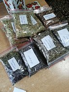 Сегодня "Пчелкам" из Лысых Гор исполнилось два года