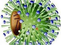 Нагрузка на медиков растет с каждым днем.