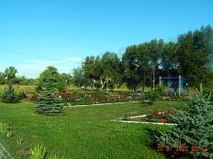 Лето в нашем парке