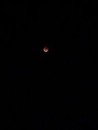 Лысогорцы сфотографировали полное лунное затмение