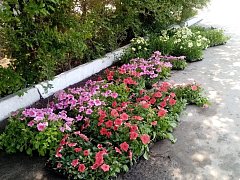 В Лысых Горах высаживают цветы