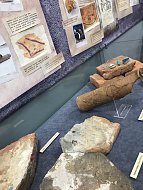 В Историческом парке открылась интерактивная выставка «Археологический детектив»