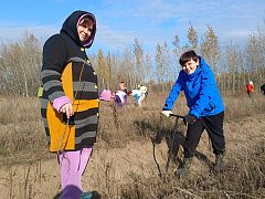Лысогорские юннаты приняли участие в акции «Посади лес»