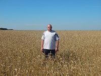 Молотят полным ходом: в КФХ С.И. Федосеева убирают озимую пшеницу