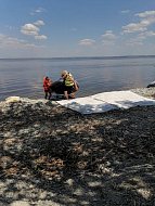 Ученики  лысогорской школы № 1  рассказали о своих отцах.