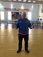 В Лысых Горах прошел турнир по самбо