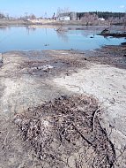 Лысогорцы вышли на прогулку, чтобы «не проспать» весну