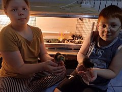 Юнгеровка и Кузьмины — одно целое (памяти Сергея Константиновича Кузьмина посвящается…)