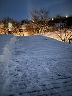 Школьники села Бутырки почистили снег семьям участников СВО