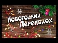 НОВОГОДНИЙ ПЕРЕПОЛОХ: ТАКОГО ЕЩЕ В Лысогорской ШКОЛЕ № 1 НЕ БЫЛО!