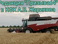 Пшеничные просторы в Невежкино, или В фермерском хозяйстве Александра Жарикова полным ходом убирают озимую пшеницу