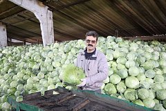 День фермера