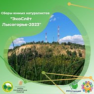 Экослет состоится в середине августа