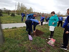 Лысогорский район принял участие во Всероссийском субботнике