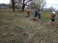Лысогорский район принял участие во Всероссийском субботнике