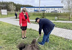Коралловые юбиляры из Лысых Гор приняли участие  в экологической акции «Посади дерево!»