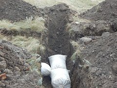 В Лысогорском районе прошли межрайонные  учения по локализации и ликвидации очага африканской чумы свиней