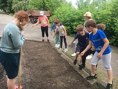 Школьники села Шереметьевка, летом  не только отдыхают