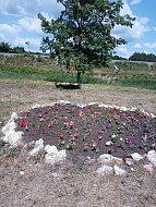 В райцентре Лысые Горы продолжается благоустройство общественной территории