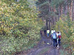 Лысогорцы присоединились к Всероссийской акции «10 000 шагов к жизни»