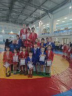 Лысогорские самбисты завоевали 46 медалей