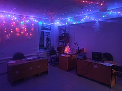 ОГУ «Лысогорская райСББЖ» сверкает огоньками гирлянд