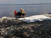 Ученики  лысогорской школы № 1  рассказали о своих отцах.