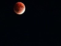 Лысогорцы сфотографировали полное лунное затмение