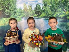 В детском саду «Радуга»  р.п. Лысые Горы проходит творческий  конкурс поделок и рисунков