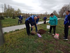 Лысогорский район принял участие во Всероссийском субботнике