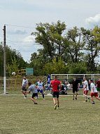 На старт, внимание, спорт! Финал Дня физкультурника в Лысых Горах